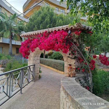 Apartment Con Piscina A Unos Metros De La Playa Moraira